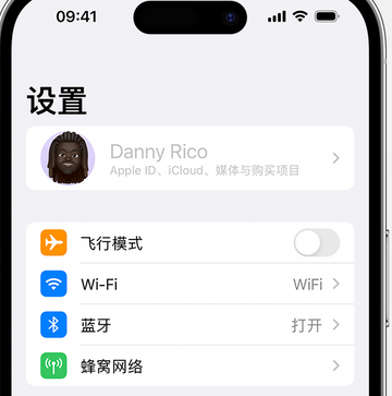 海头镇appleID维修服务iPhone设置中Apple ID显示为灰色无法使用 