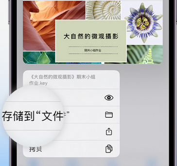 海头镇apple维修中心分享iPhone文件应用中存储和找到下载文件