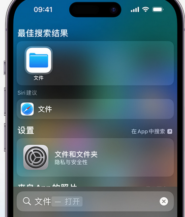 海头镇apple维修中心分享iPhone文件应用中存储和找到下载文件 