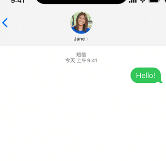 海头镇apple维修iPhone上无法正常发送iMessage信息