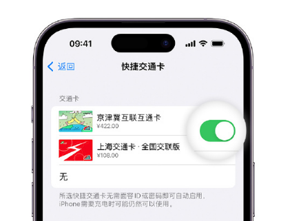 海头镇apple维修点分享iPhone上更换Apple Pay快捷交通卡手绘卡面 