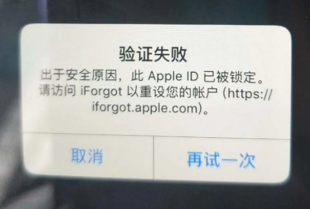 海头镇iPhone维修分享iPhone上正常登录或使用AppleID怎么办 