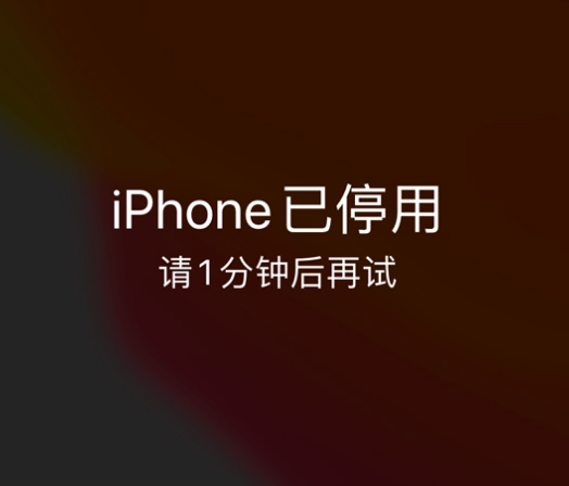 海头镇苹果手机维修分享:iPhone 显示“不可用”或“已停用”怎么办？还能保留数据吗？ 