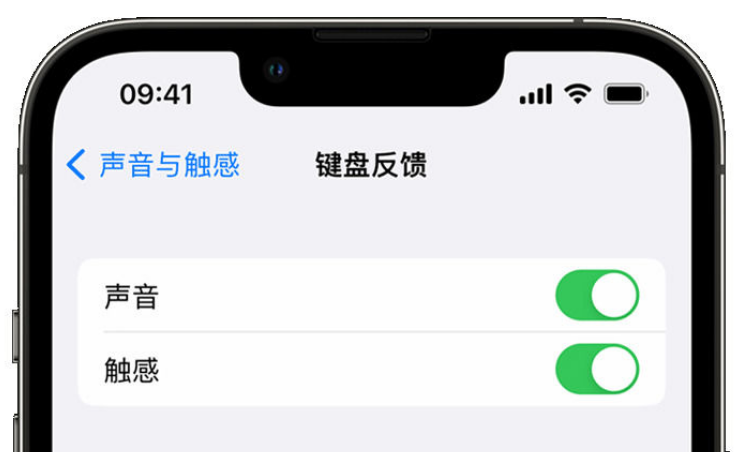 海头镇苹果手机维修分享iPhone 14触感键盘使用方法 