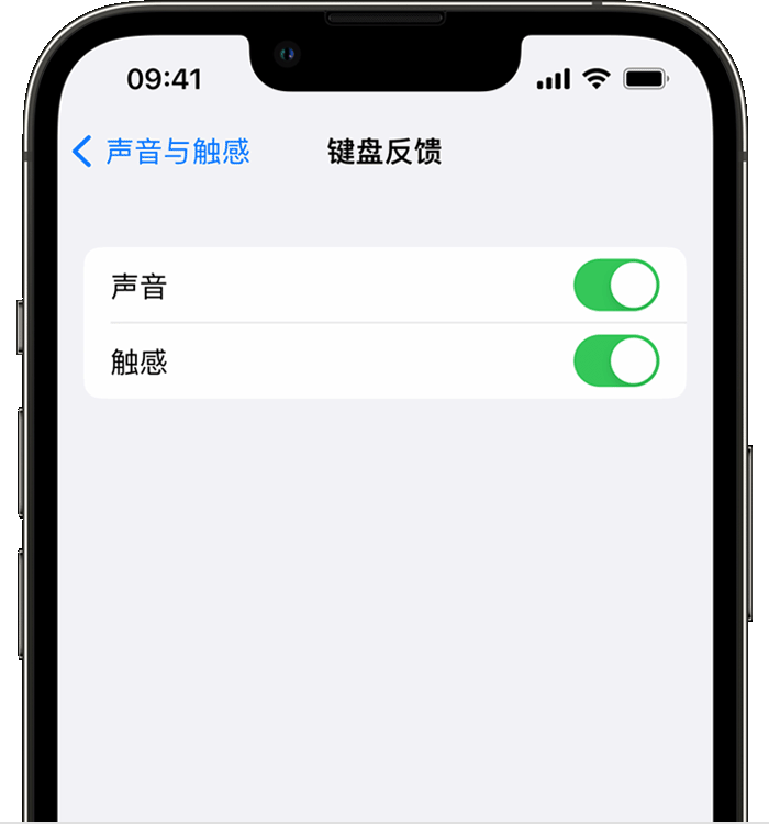 海头镇苹果14维修店分享如何在 iPhone 14 机型中使用触感键盘 