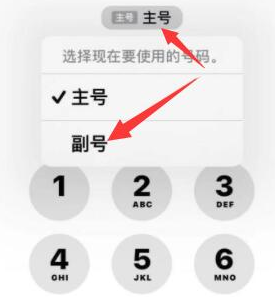 海头镇苹果14维修店分享iPhone 14 Pro Max使用副卡打电话的方法 