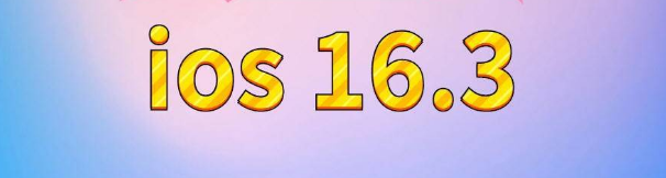 海头镇苹果服务网点分享苹果iOS16.3升级反馈汇总 