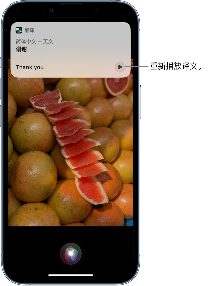 海头镇苹果14维修分享 iPhone 14 机型中使用 Siri：了解 Siri 能帮你做什么 