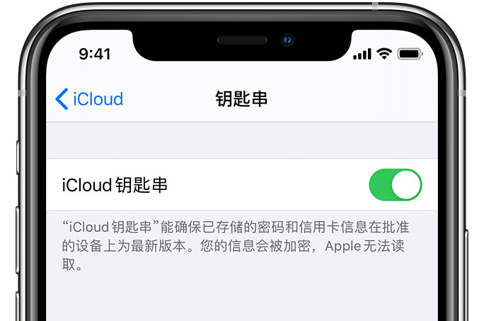 海头镇苹果手机维修分享在 iPhone 上开启 iCloud 钥匙串之后会储存哪些信息 