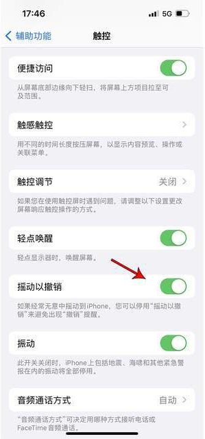 海头镇苹果手机维修分享iPhone手机如何设置摇一摇删除文字 